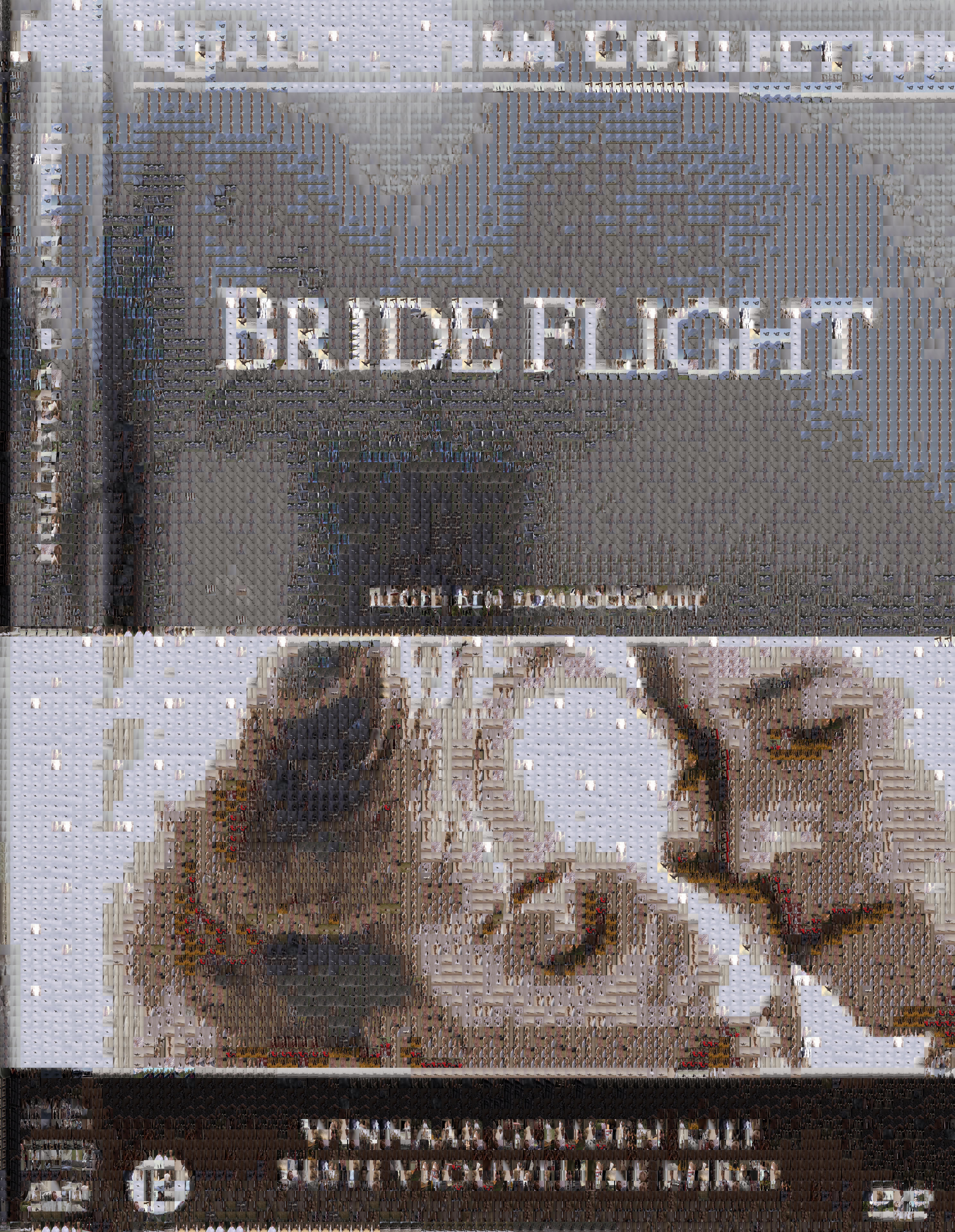 bride-flight