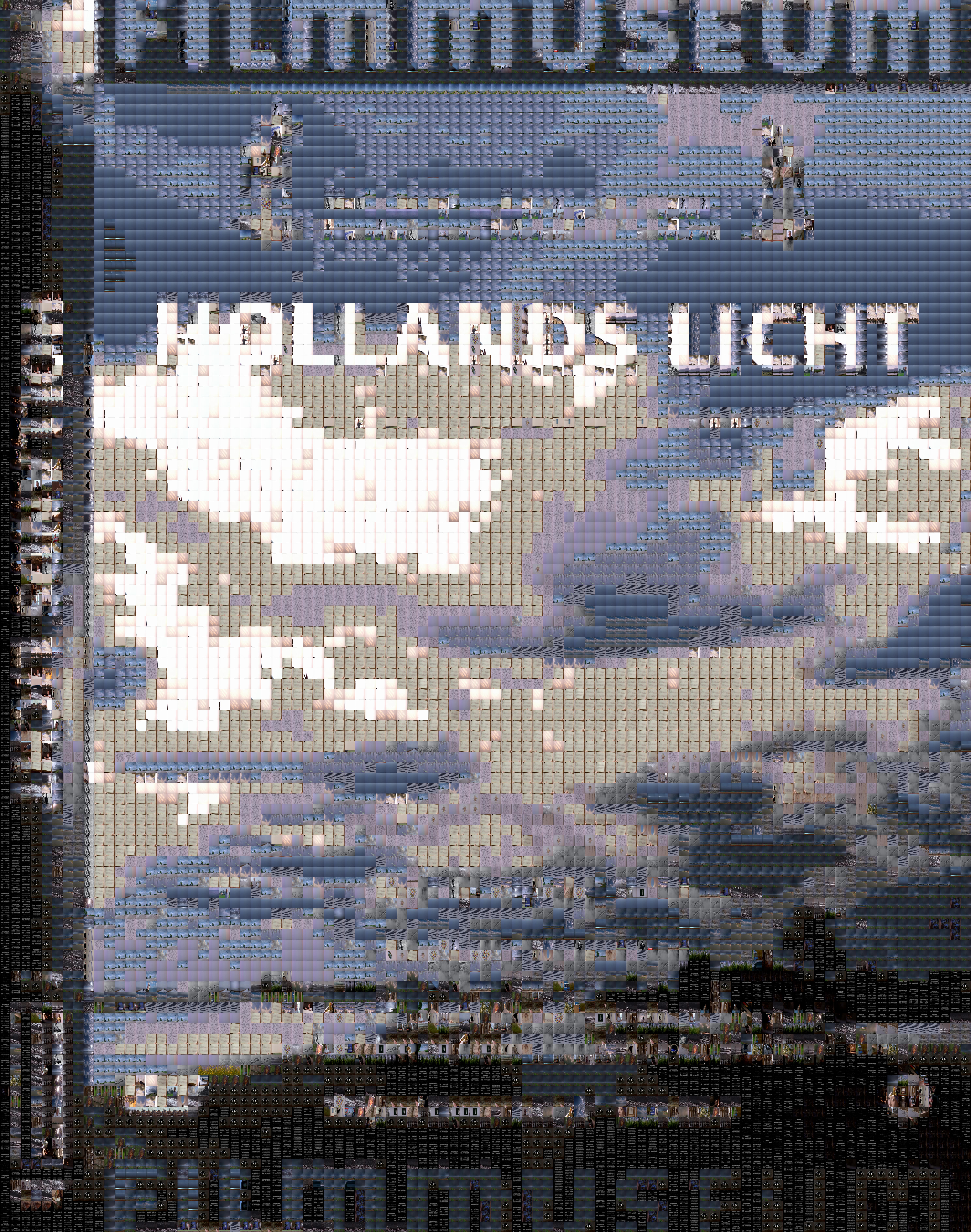 hollands-licht