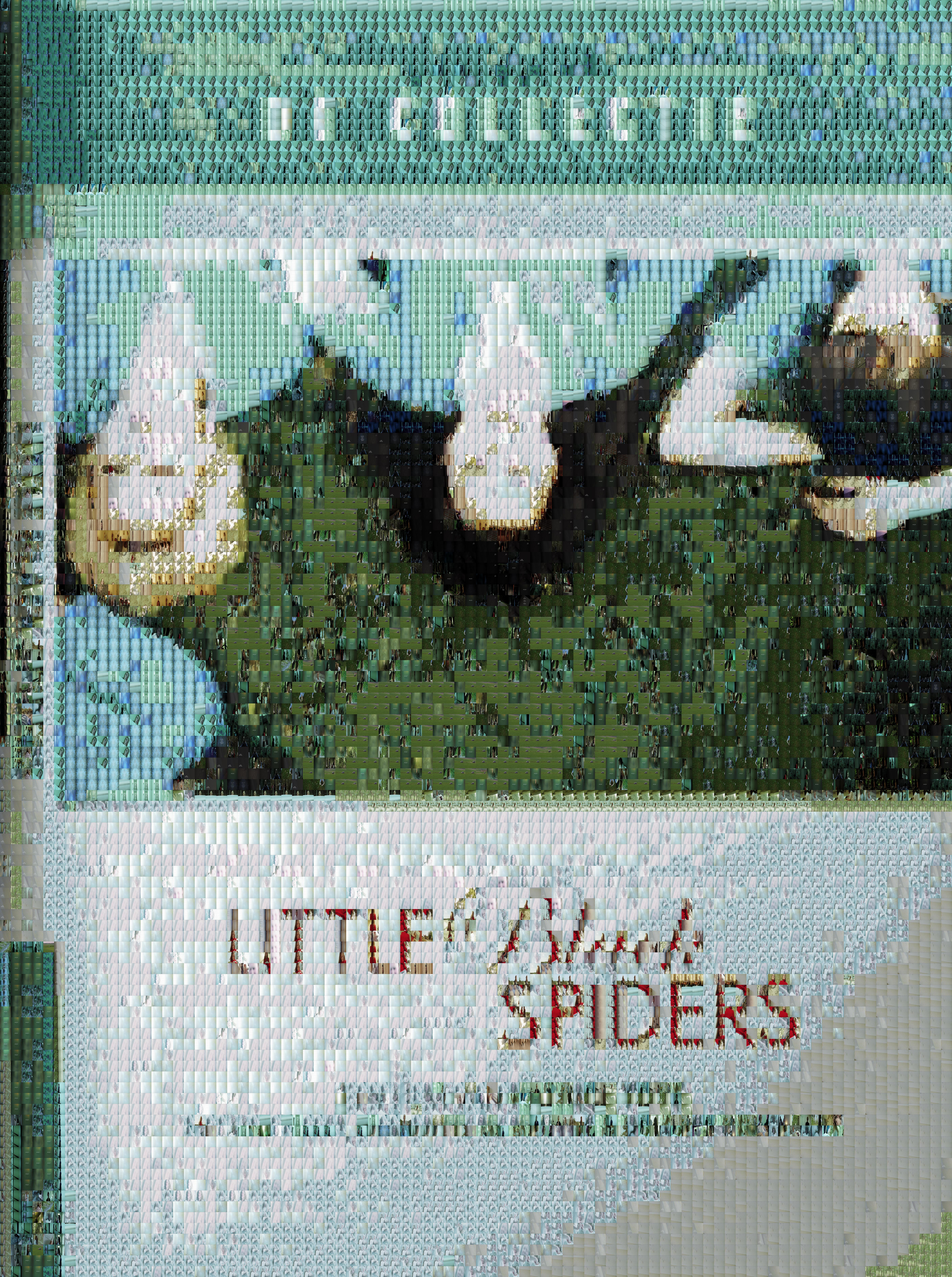 little-black-spiders