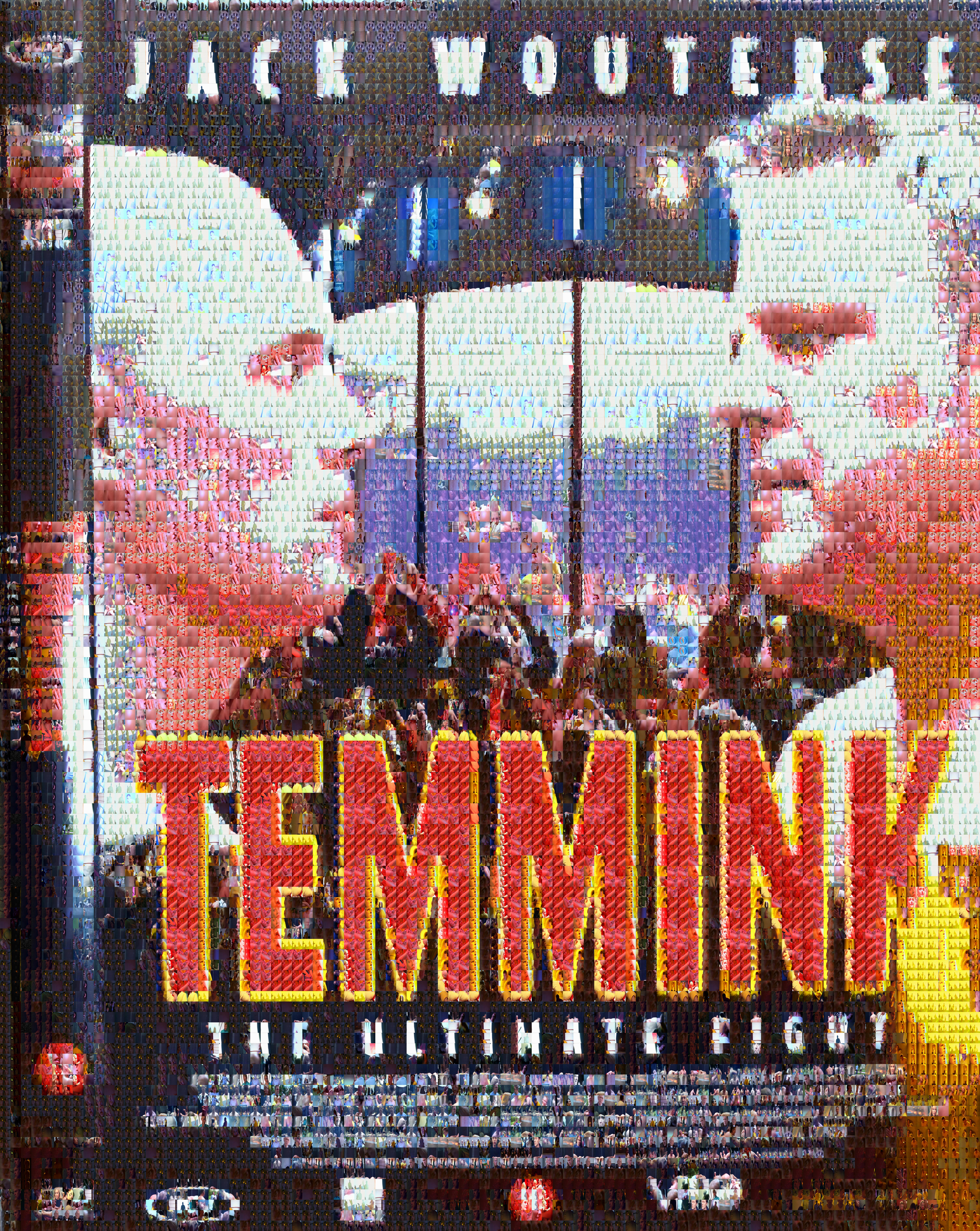 temmink-the-ultimate-fight