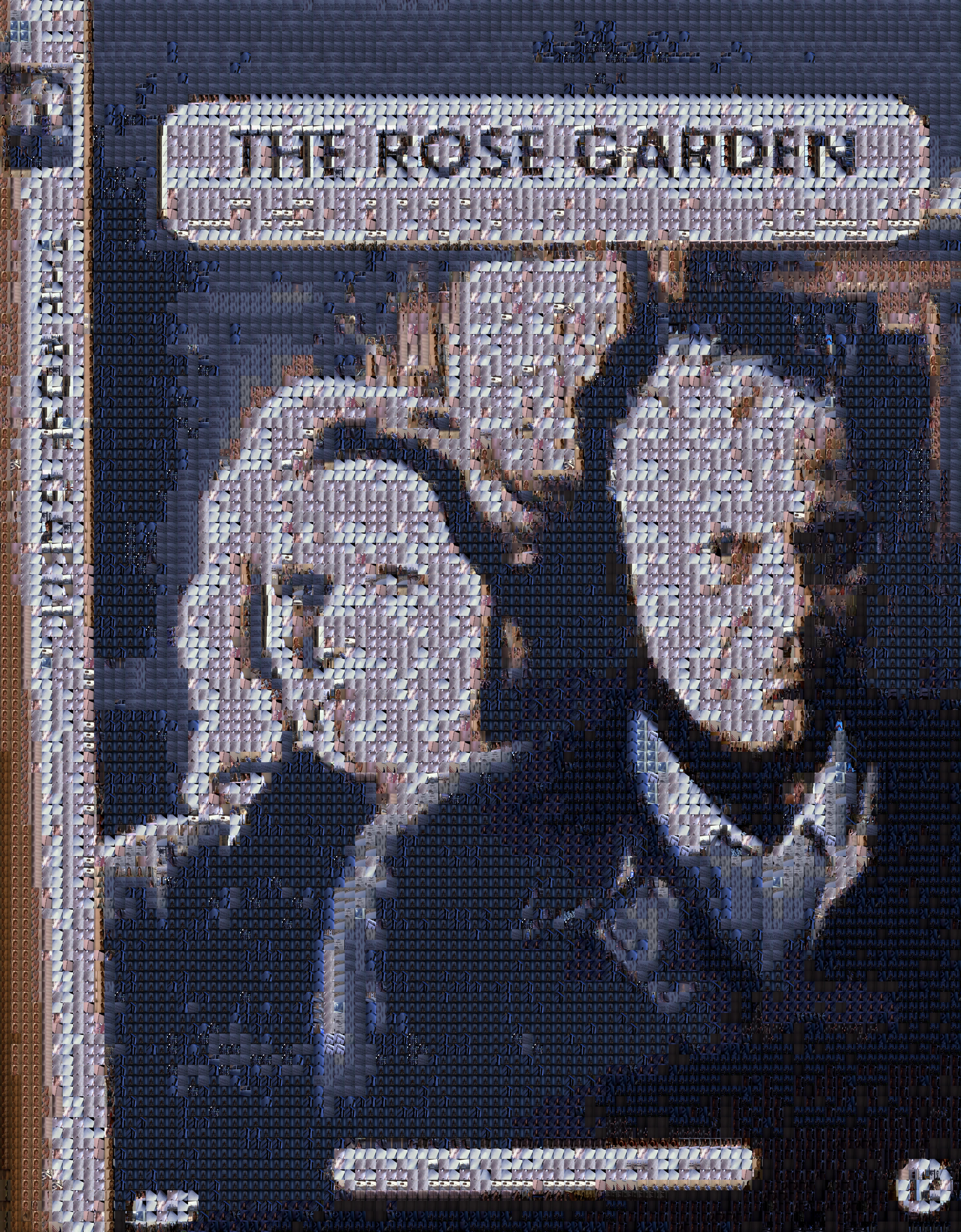 the-rose-garden