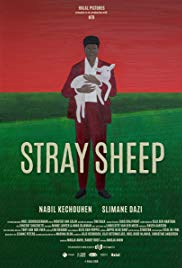stray-sheep